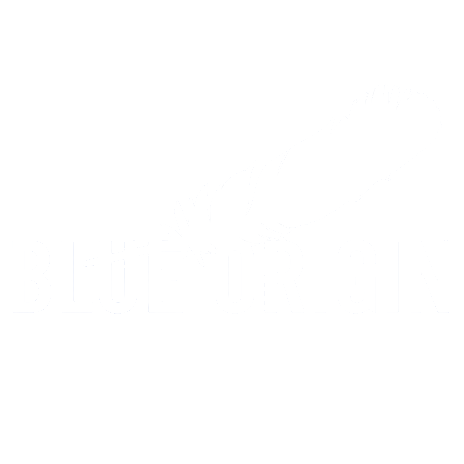 Blue Origin